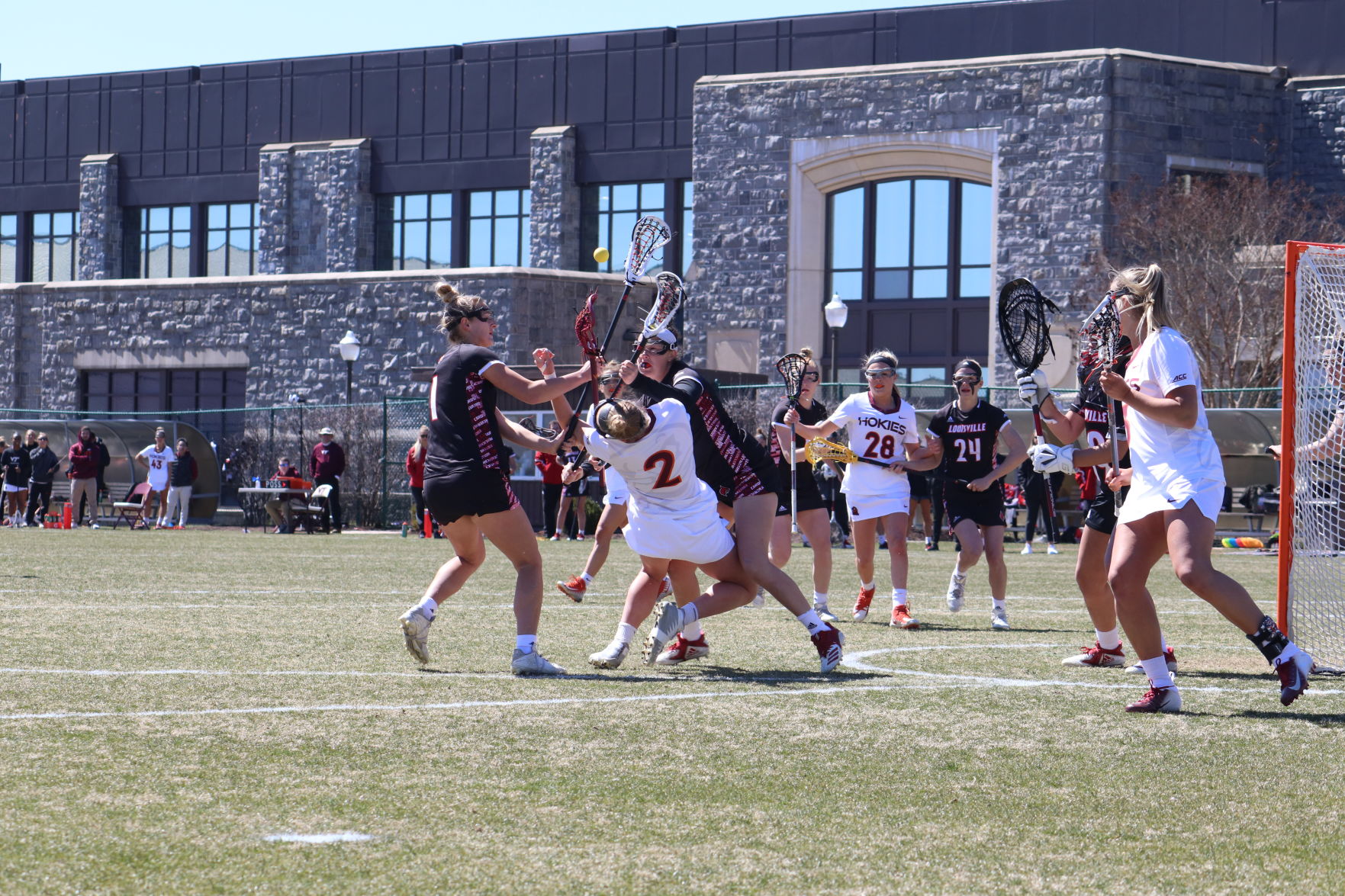 Lacrosse vs. Louisville
